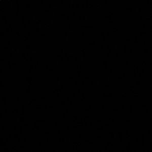 Meet your Posher, Jack